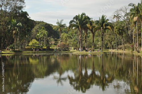 Sao Paulo Botanic Garden 