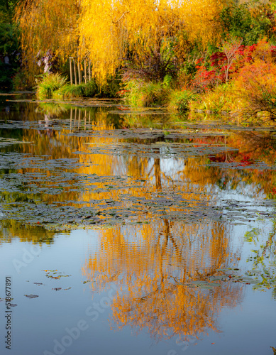 calme & tranquilité dans les jardins de Monnet