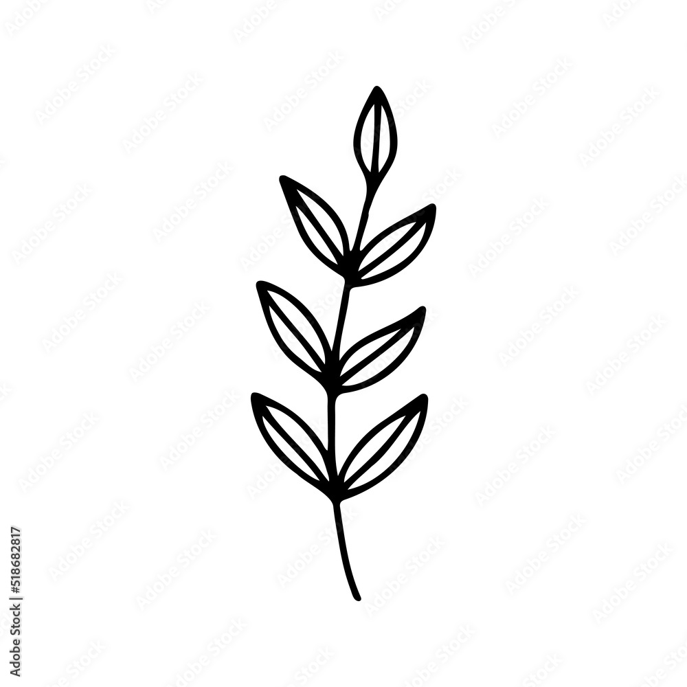 Hand drawn herbal, floral clipart. One line doodle vector Hand drawn herbal, floral clipart. One line doodle vector