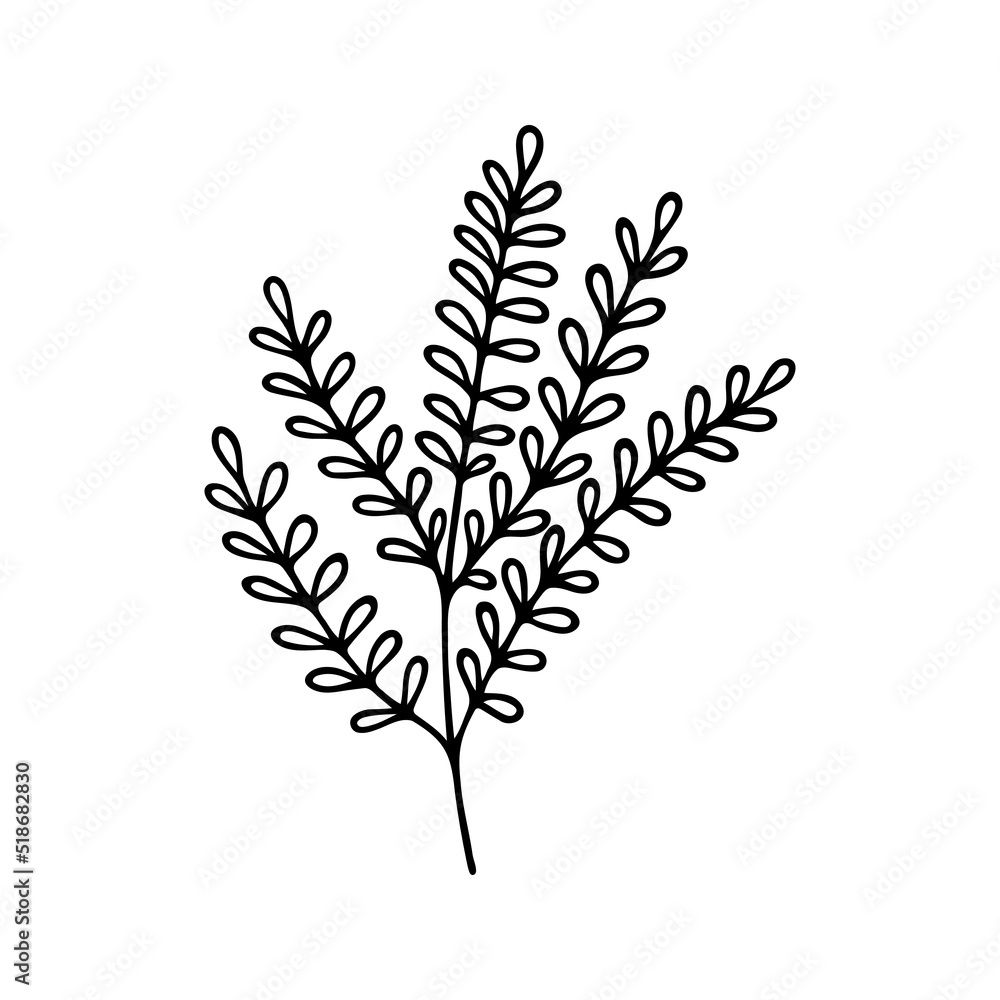 Hand drawn herbal, floral clipart. One line doodle vector Hand drawn herbal, floral clipart. One line doodle vector