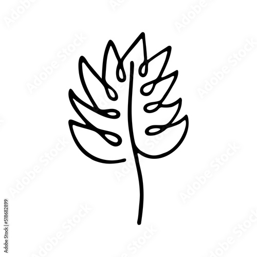 Hand drawn herbal, floral clipart. One line doodle vector