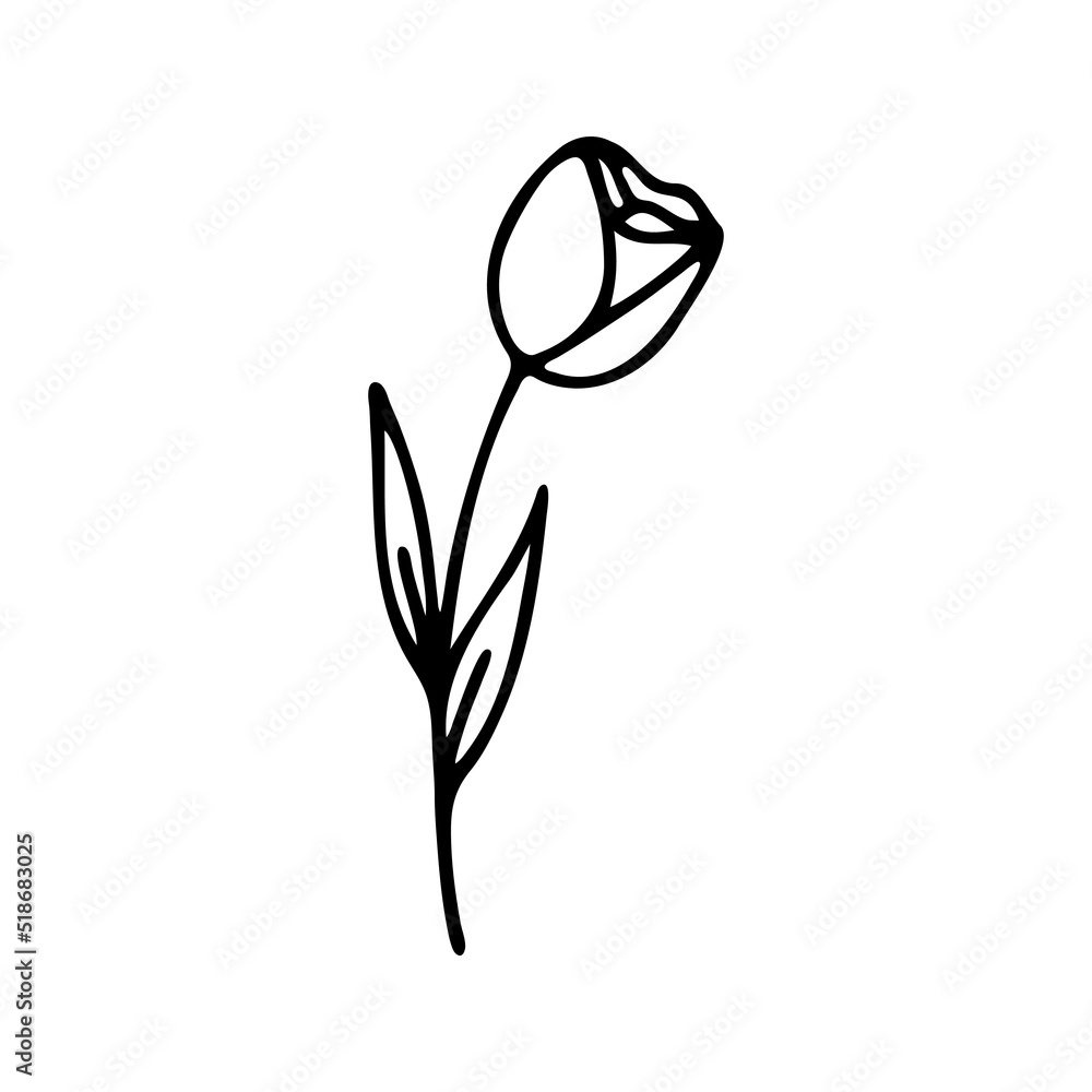 Obraz premium Hand drawn herbal, floral clipart. One line doodle vector