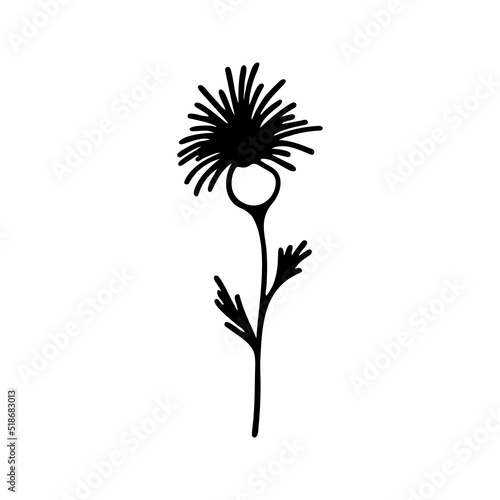 Hand drawn herbal  floral clipart. One line doodle vector