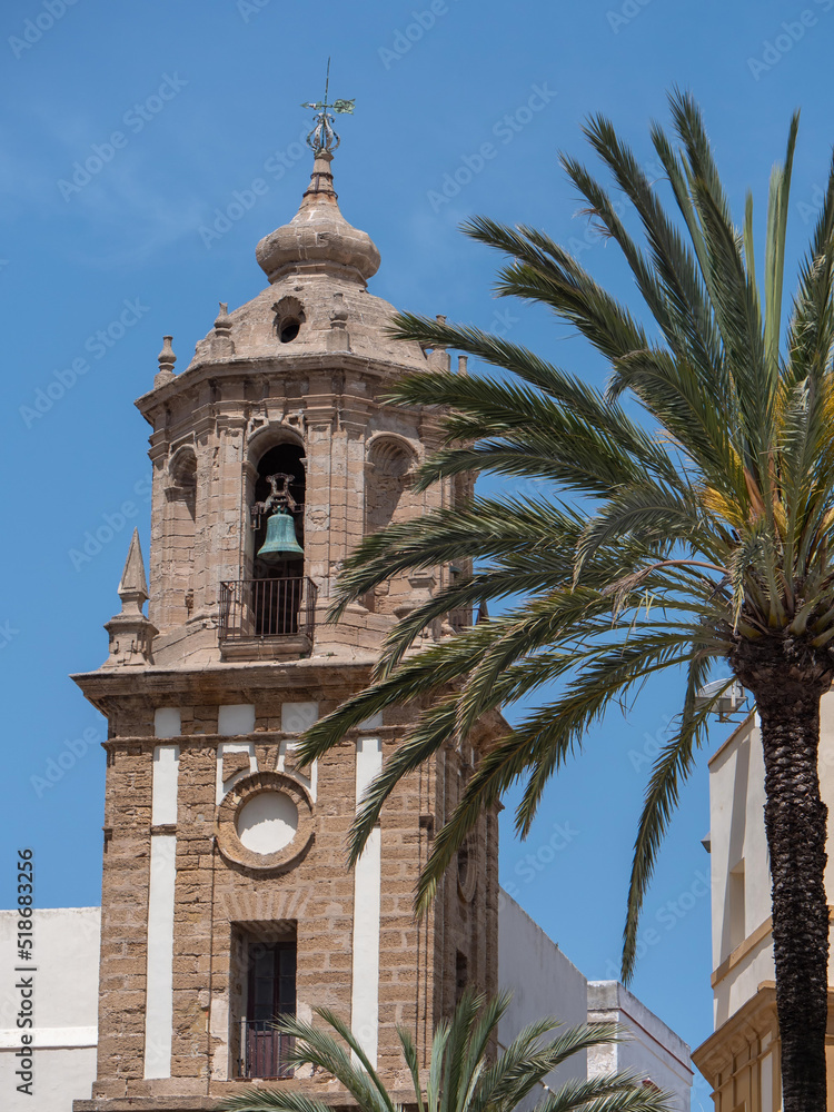 alter brauner  Glockenturm in Cadiz, Andalusien mit Palme im Vordergrund