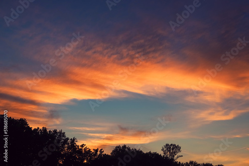 Summer sunset sky over the night forest as a dramatic background © kargona