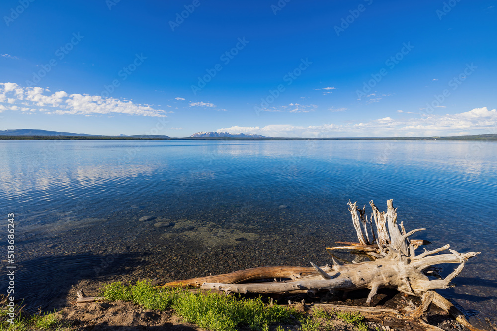Sunny beautiful landscape of Yellowstone Lake in Yellowstone National Park Sunny beautiful landscape of Yellowstone Lake in Yellowstone National Park