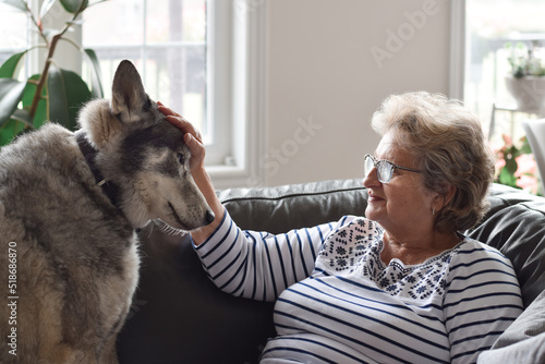 Obraz na plátně Senior woman sitting on couch at home petting husky dog