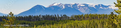 Beautiful landscape along the Yellowstone Lake Overlook Trail