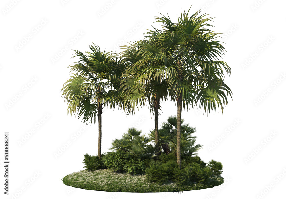 Gardens and palm trees on a white background