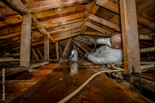 Mold attic