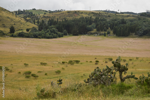 Tranquilo paisaje en un ecosistema de tipo p  ramo