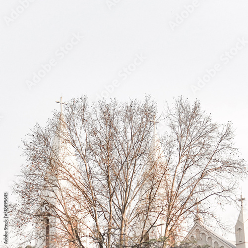 Tree Branches In Front Of The Towers Of The Catholic Church In The Center In Downtown Criciúma, Santa Catarina, Brazil