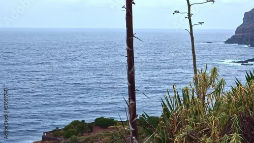 Playa del Ancón, Tenerife