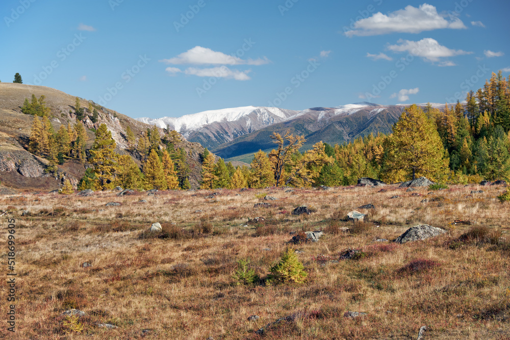 North Chuiskiy Ridge with stones on foreground and larch forest and snow mountains are on background. North Chuiskiy Ridge with stones on foreground and larch forest and snow mountains are on background.