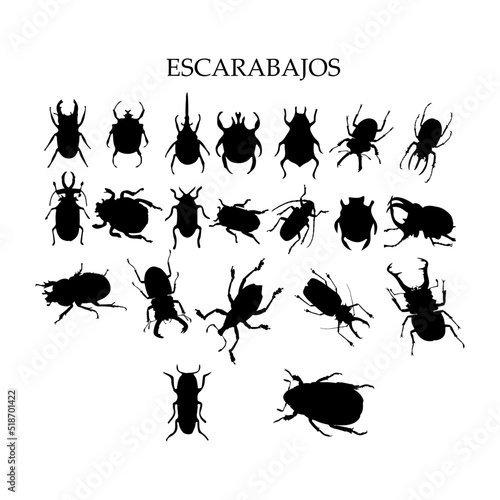 Silueta vectorial de escarabajos. © Gaby.Art