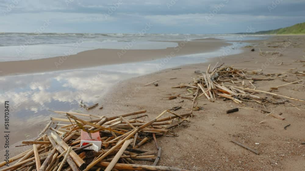 The shoreline of the white sandy beach with the twigs and dirt all over in Estonia The shoreline of the white sandy beach with the twigs and dirt all over in Estonia