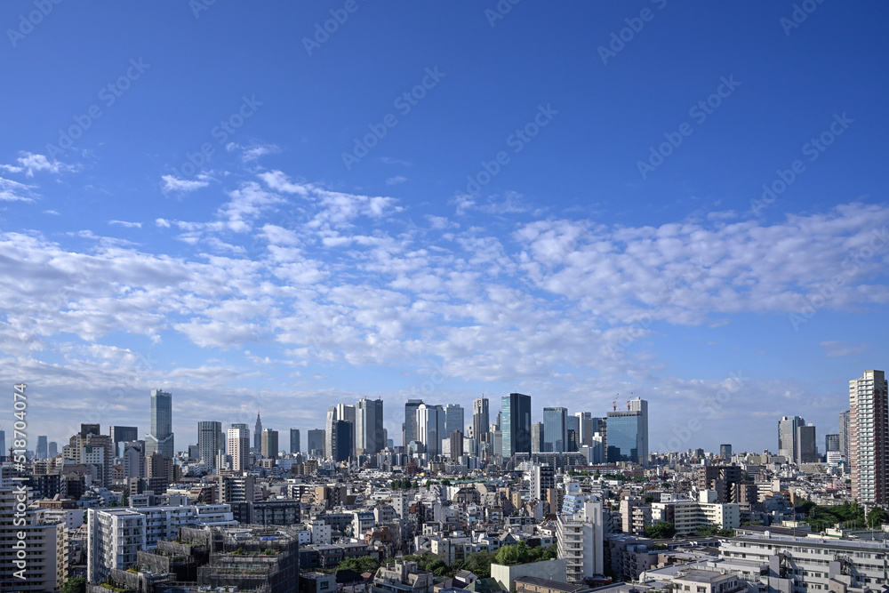 city skyline 2022/05/28 06:44 Tokyo Sinjyuku