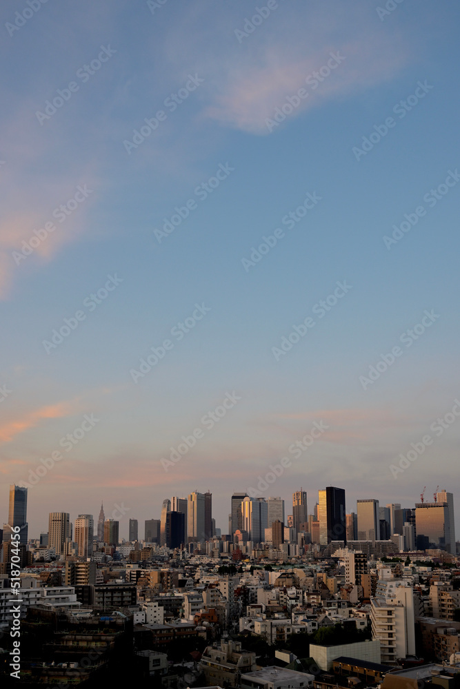 Fototapeta premium city skyline at sunrise 2022/05/30 04:28 Tokyo Shinjuku