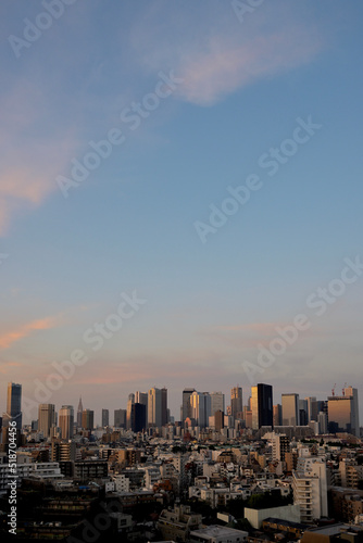 city skyline at sunrise 2022/05/30 04:28 Tokyo Shinjuku