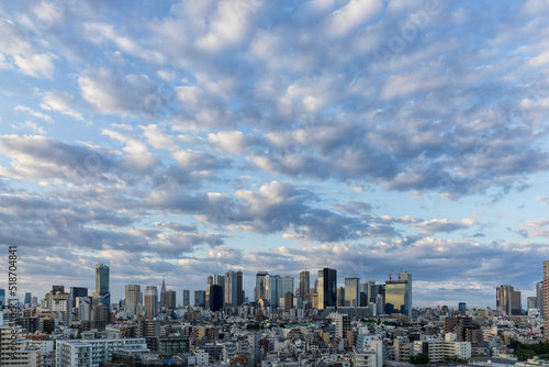 city skyline, 2022/05/28 05:01, Tokyo Shinjuku skyscrapers