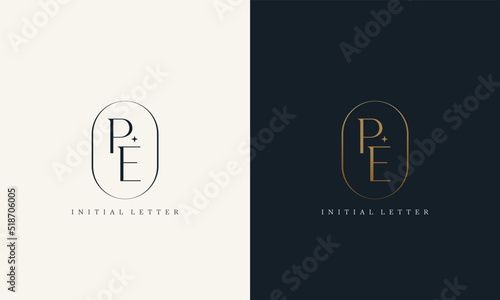 premium PE logo monogram with gold circle frame. luxury initials design minimal modern typeface