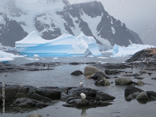 Pleneau Island Antarctic Peninsula photo