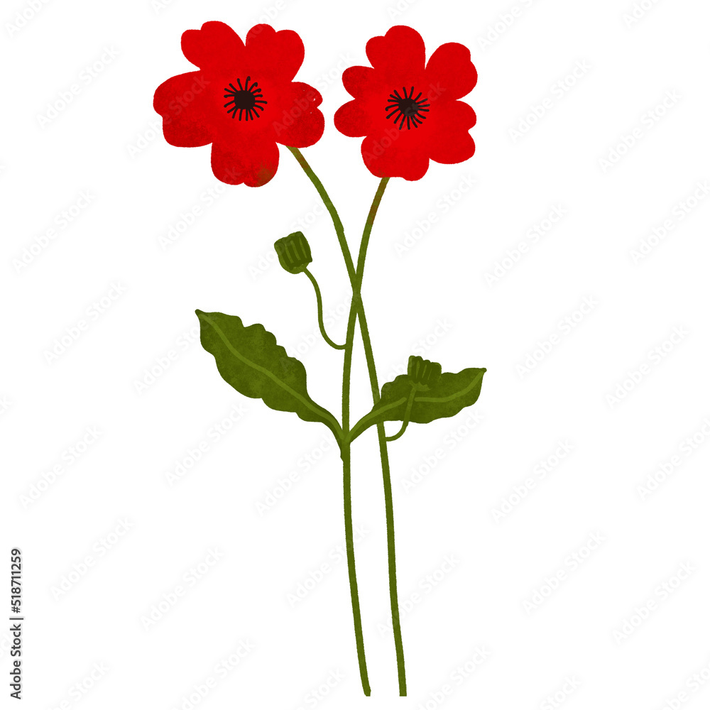 Hand drawn flowers blossom Hand drawn flowers blossom