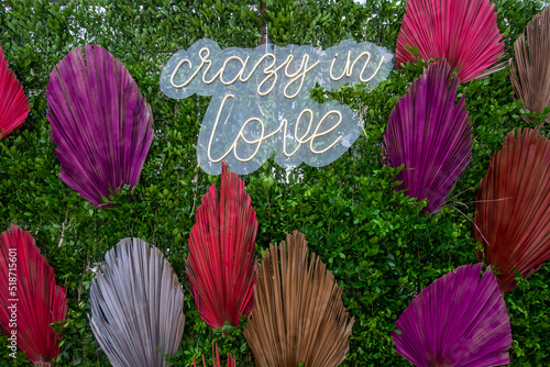 flowers in the garden