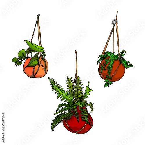 Set illustration house plants on hanging pots. Illustration of flowerpots as a blank for designers, logo, icon, home interior