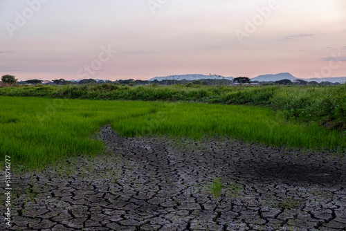 landscape in the morning