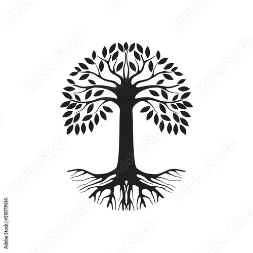 olive tree and roots vector silhouette