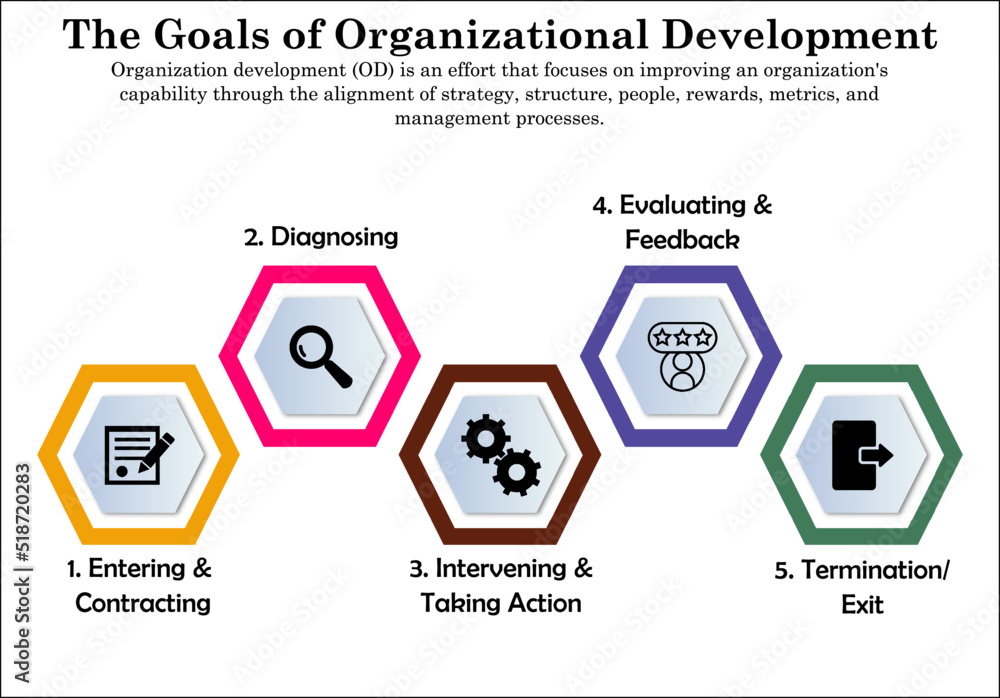 Goals of Organizational Development with Icons in an Infographic ...
