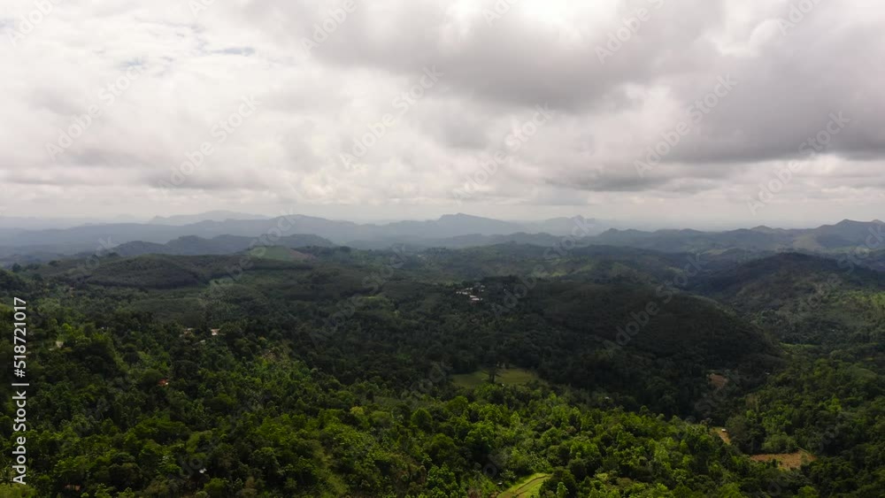 Slopes of mountains with evergreen vegetation. Sri Lanka. Slopes of mountains with evergreen vegetation. Sri Lanka.