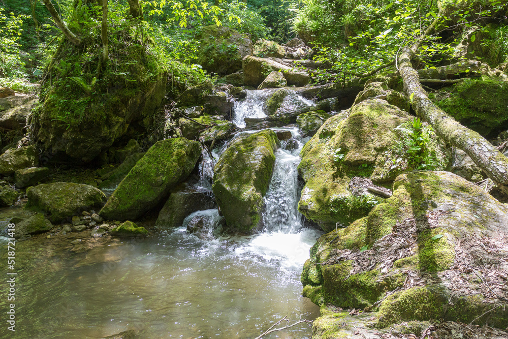 Mountain river, sources in the canyon of the stone bed, panorama of the area, summer season, in nature Mountain river, sources in the canyon of the stone bed, panorama of the area, summer season, in nature