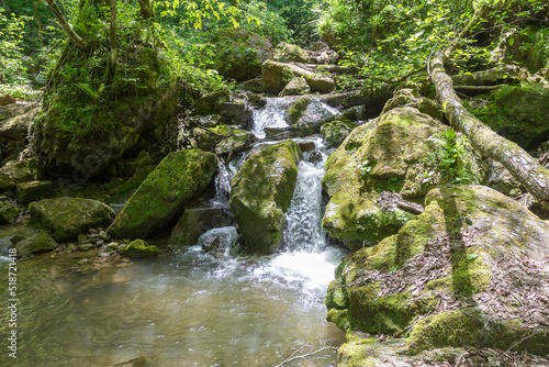 Mountain river, sources in the canyon of the stone bed, panorama of the area, summer season, in nature