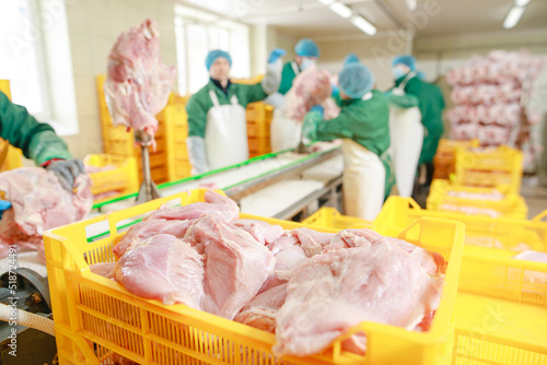 turkey production process, turkey poultry farm