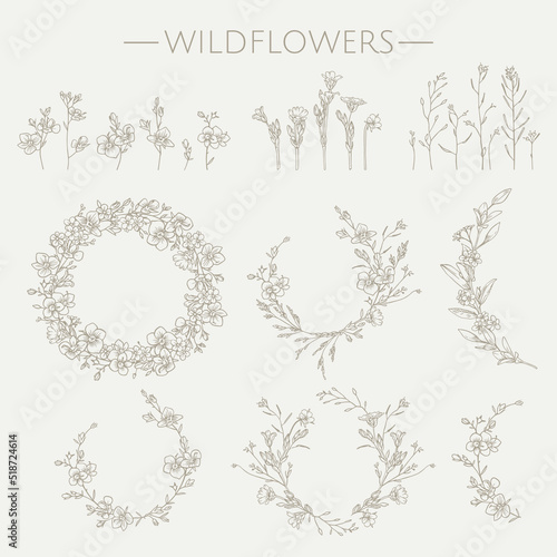 Set of hand-drawn wildflowers.