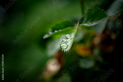 au plus prêt de la nature