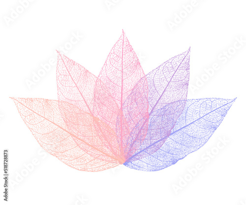 Skeleton leaf colorful illustration. Concept for the beauty industry