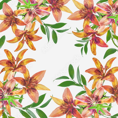Beautiful Lily flowers pattern frame at white background.