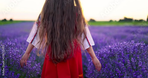 Bulgarian girl or woman in folklore costume touch flowers in lavender field during harvest and sunset photo