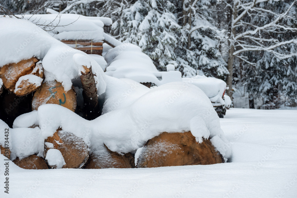 snow covered tree logs snow covered tree logs