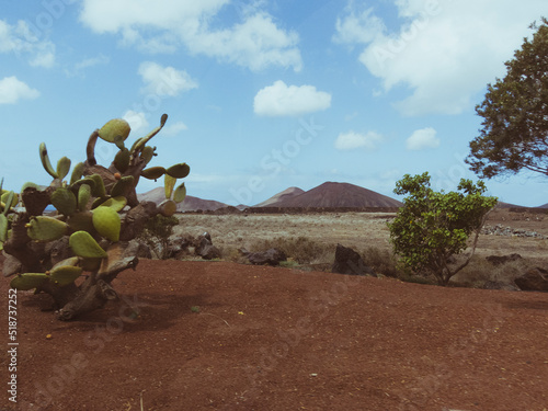 Paisaje natural volcánico enmarcado con cactus y vegetación y un gran volcán inactivo al fondo en Lanzarote, Islas Canarias en un día soleado con el cielo azul despejado. photo