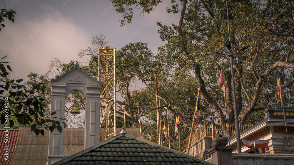 Secred Jaya Sri Maha Bhodi. Beautiful evening landscape photograph. Secred Jaya Sri Maha Bhodi. Beautiful evening landscape photograph.