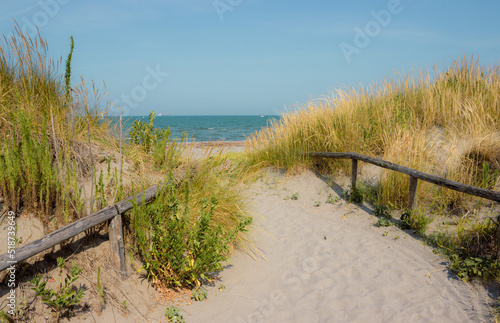 Marine landscape. Sandy path with the fence. Vacation concept.