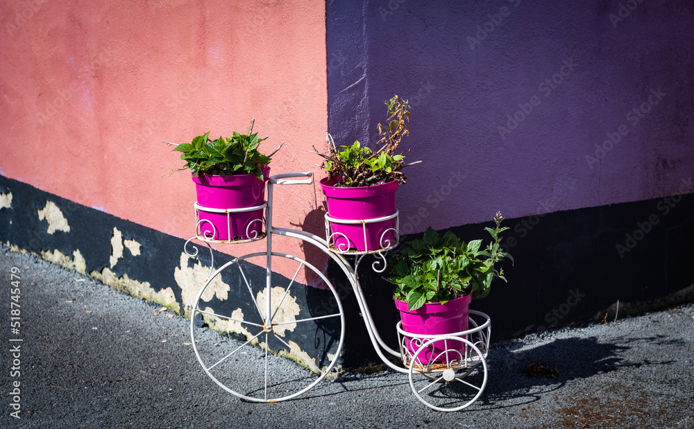 Flower pots in ornate bicycle beside grungy wall.
