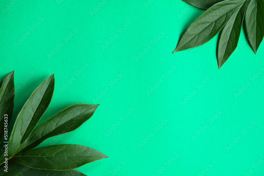 Fototapeta premium Peony leaves on a green background, top view.
