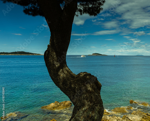 Wallpaper Mural Sea landscape, two islands on the horizon and a motor yacht. In the foreground, there is a large pine tree and rocks entering the sea Torontodigital.ca
