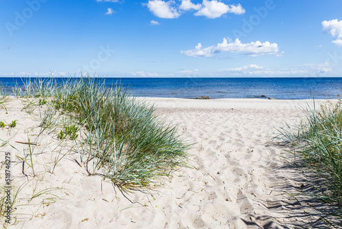 Fototapeta Naklejka Na Ścianę i Meble -  Sandy beach and dune with grass at the Baltic sea beach. Beautiful sea landscape
