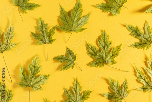 Autumn dry leaves on yellow background. Flat lay.